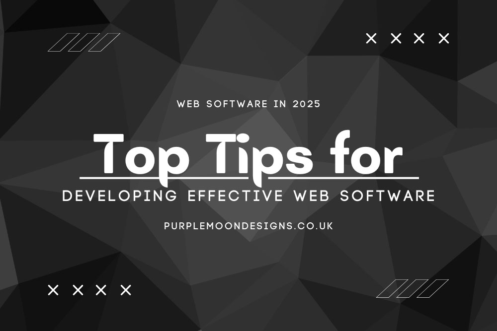 Developing Effective Web Software